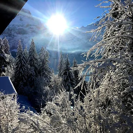 Appartamento Chalet Oben Hegen *