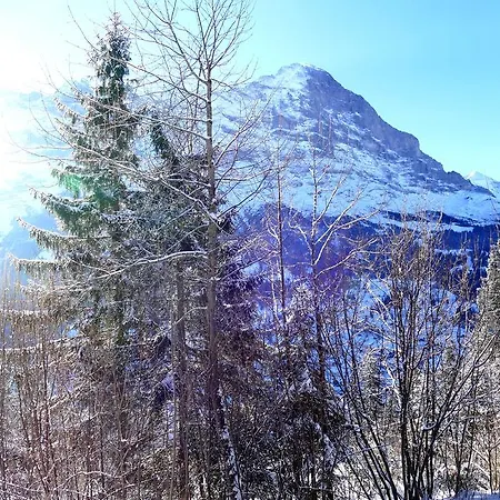 Chalet Oben Hegen グリンデルヴァルト