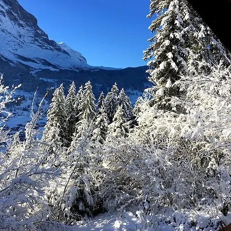 Chalet Oben Hegen *