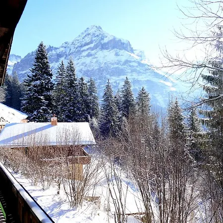 Appartamento Chalet Oben Hegen *
