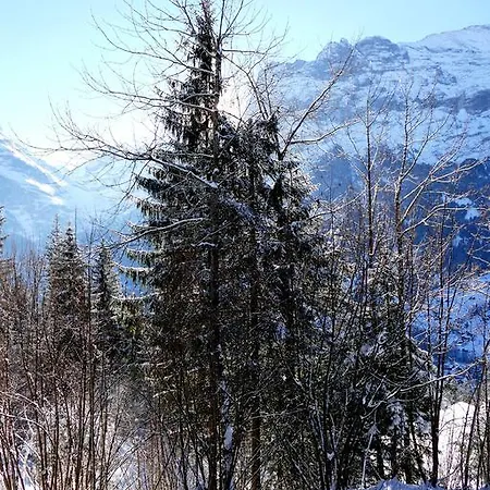 Chalet Oben Hegen Daire *